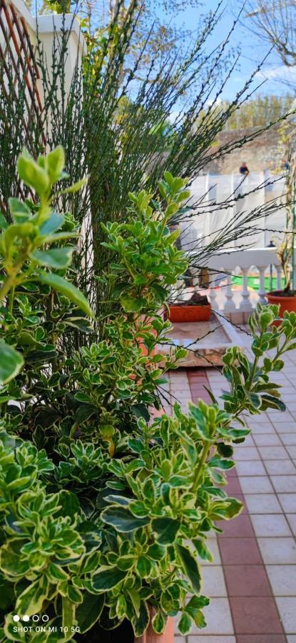 Residenza Porta Brescia Peschiera del Garda